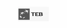TEB