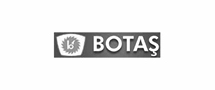 Botas